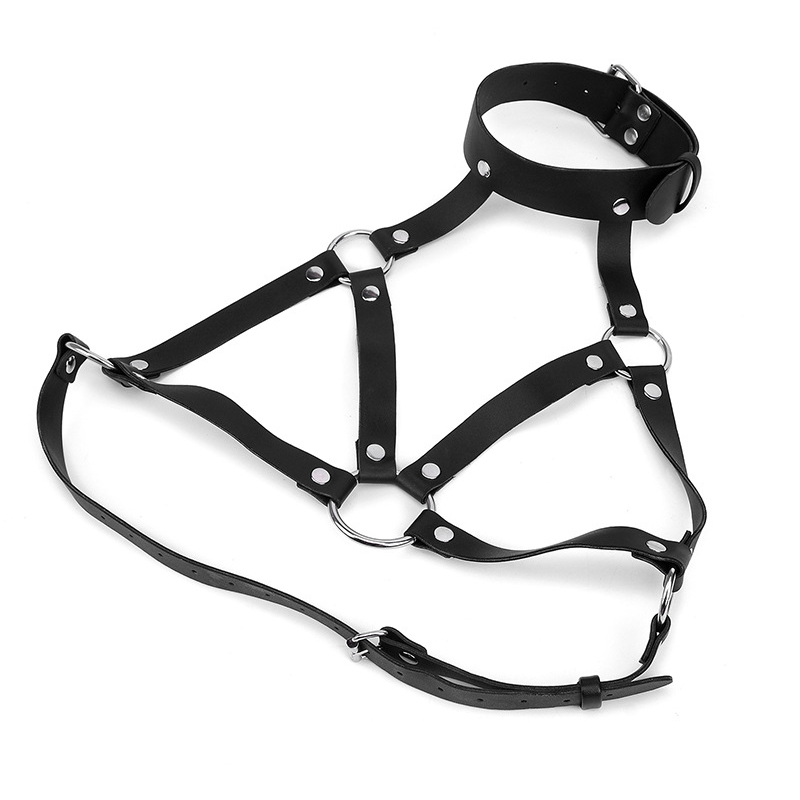 Frauen Mode Geschirr Gürtel Br – Garter Belt Set Bewertung und Preis
